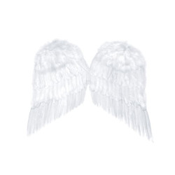 Skrzydła anioła, biały, 55 x 45cm