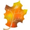 Balon foliowy liść jesień 60 cm x 86 cm