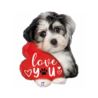 Pies Love You Puppy 24" - 61 cm - PACK