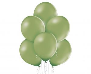 Balon B105 Pastel Rosemary Green 100 szt.