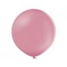 Balony B250 / 60 cm Pastel Wild Rose 2 szt.