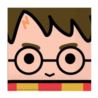 Serwetki Harry Potter 33 x 33 cm