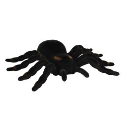 Pająk ozdobna Tarantula