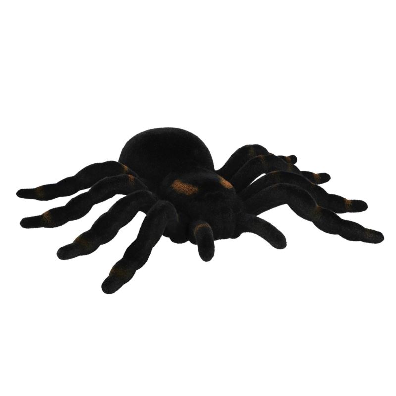 Pająk ozdobna Tarantula