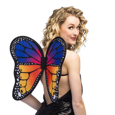 Skrzydła motyla 50 x 44 cm
